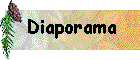 Bouton_Diaporama